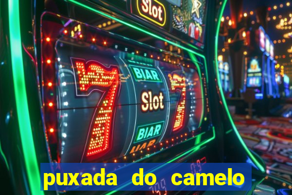 puxada do camelo no jogo do bicho